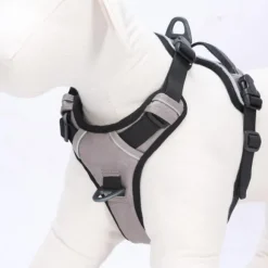 OllyDog Alpine -heijastavat valjaat, ruskea