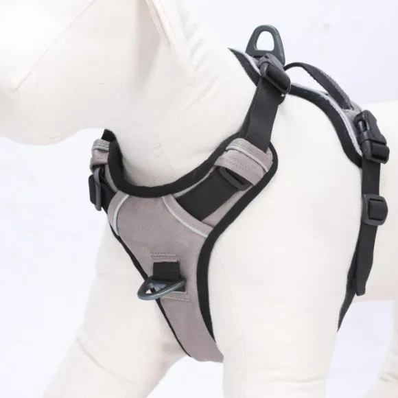 OllyDog Alpine -heijastavat valjaat, ruskea