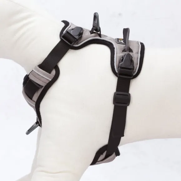 OllyDog Alpine -heijastavat valjaat, ruskea