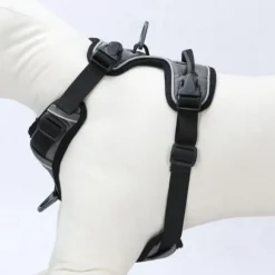 OllyDog Alpine Reflective Harness valjaat, harmaa