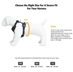 OllyDog Alpine Reflective Harness valjaat, harmaa