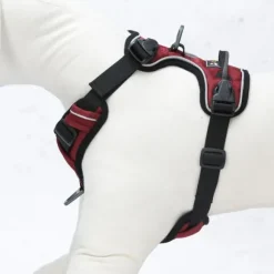 OllyDog Alpine Reflective Harness valjaat, punainen