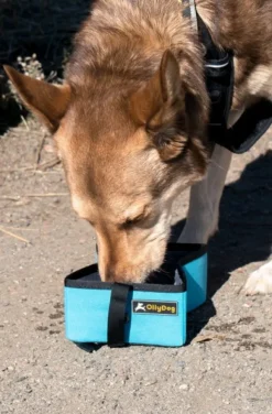 OllyDog Crumple Travel Bowl Raven