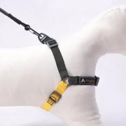 OllyDog Essential Harness Raven Bark