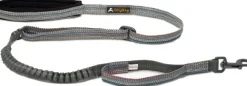 OllyDog Flagstaff Adjustable Spring Leash säädettävä talutin, värikäs