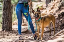 OllyDog Flagstaff Adjustable Spring Leash Sage Bark