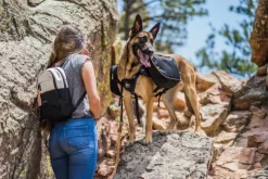 OllyDog Flagstaff Adjustable Spring Leash Sage Bark