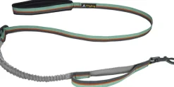 OllyDog Flagstaff Adjustable Spring Leash Surf