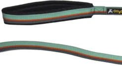 OllyDog Flagstaff Adjustable Spring Leash Surf