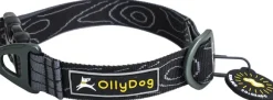 OllyDog Flagstaff Collar Raven Bark