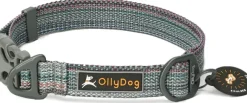 OllyDog Flagstaff Collar säädettävä kaulapanta, värikäs
