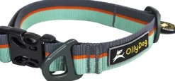 OllyDog Flagstaff Collar Surf