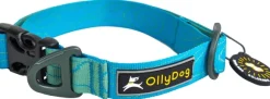 OllyDog Flagstaff Collar kaulapanta, sininen