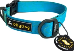 OllyDog Flagstaff Collar kaulapanta, sininen