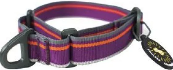 OllyDog Martingale Mesa Collar Wild Aster