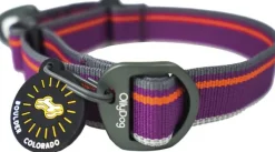 OllyDog Martingale Mesa Collar Wild Aster