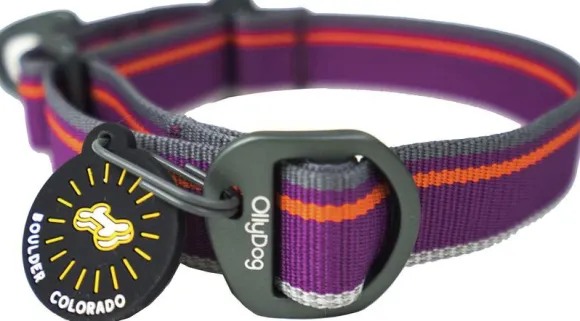 OllyDog Martingale Mesa Collar Wild Aster