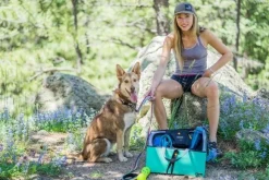 OllyDog Martingale Mesa Collar Wild Aster