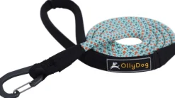 OllyDog Mountain Leash talutin, vaaleansininen