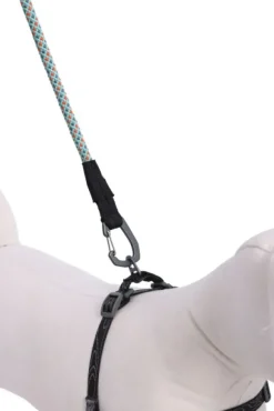 OllyDog Mountain Leash talutin, vaaleansininen