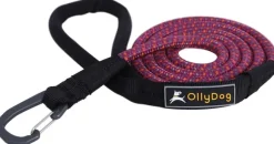 OllyDog Mountain Leash talutin, violetti