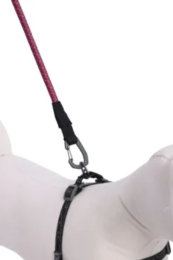 OllyDog Mountain Leash talutin, violetti