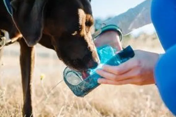 OllyDog OllyBottle Flame 1 l