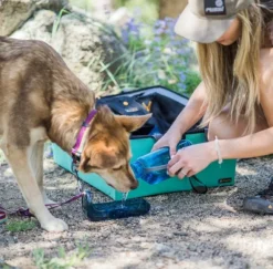 OllyDog OllyBottle juomapullo, sininen, 600 ml