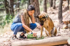 OllyDog OllyBottle Plum 600 ml