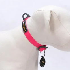 OllyDog Tilden Collar kaulapanta, pinkki