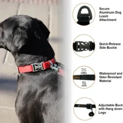 OllyDog Tilden Collar kaulapanta, pinkki