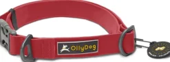 OllyDog Tilden Collar kaulapanta, punainen