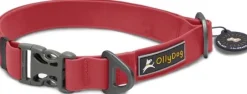 OllyDog Tilden Collar kaulapanta, punainen