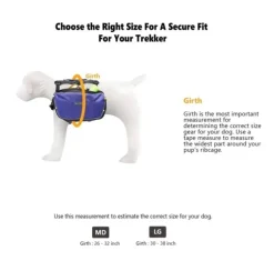 OllyDog Trekker RF Atlantic