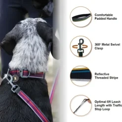 OllyDog Urban Trail Adjustable Leash talutin, musta