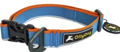 OllyDog Urban Trail Reflective Collar Air Blue