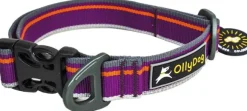 OllyDog Urban Trail Reflective Collar Wild Aster