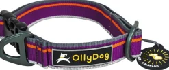 OllyDog Urban Trail Reflective Collar Wild Aster