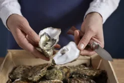 Opinel Oyster & Shellfish Knife No09 Padouk 6,5 cm