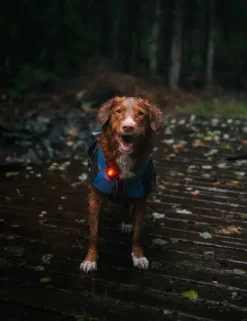 Orbiloc Dual -turvavalo, punainen