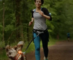 Orbiloc K9 Active Pack setti