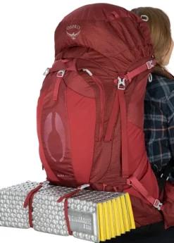 Osprey Aura AG 65 naisten rinkka, Enchantment Purple