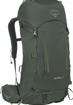 Osprey M's Kestrel 38 Bonsai Green