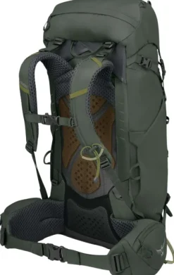 Osprey M's Kestrel 38 Bonsai Green