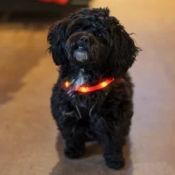 Ozami Halsband Flash Led vaaleanpunainen 35 cm