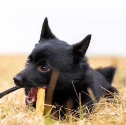 Ozami Premium Chewstick Elk 3 pcs 14cm