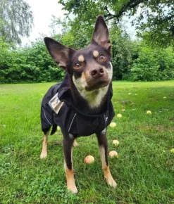 Ozami Rain Jacket Black XL 55 cm