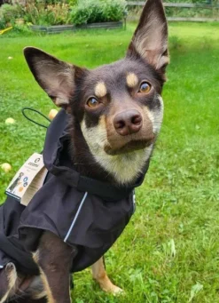 Ozami Rain Jacket Black XL 55 cm