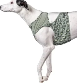 PAIKKA Cool Vest Green Leo L-XL