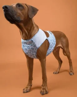 PAIKKA Cool Vest viilennysliivi, S-M, Snow Leo